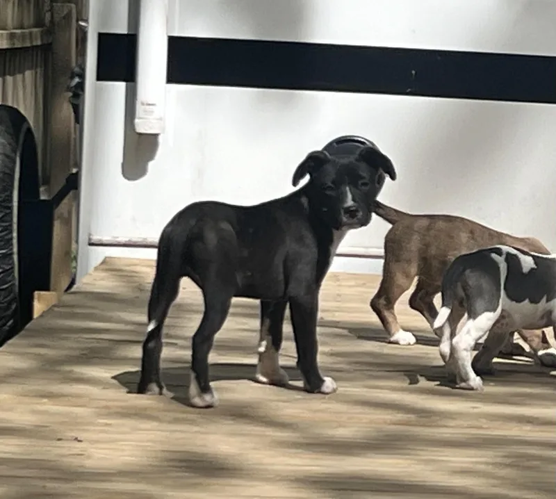 Preacher thumbnail 2