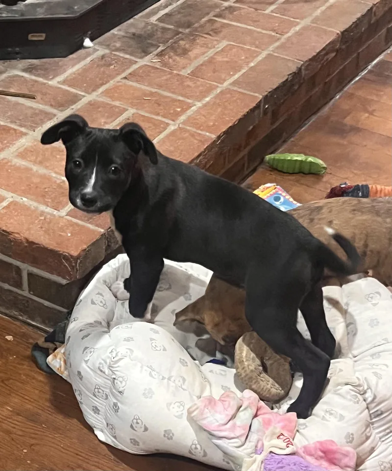 Preacher thumbnail 3