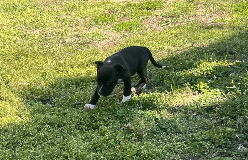 Preacher thumbnail 4