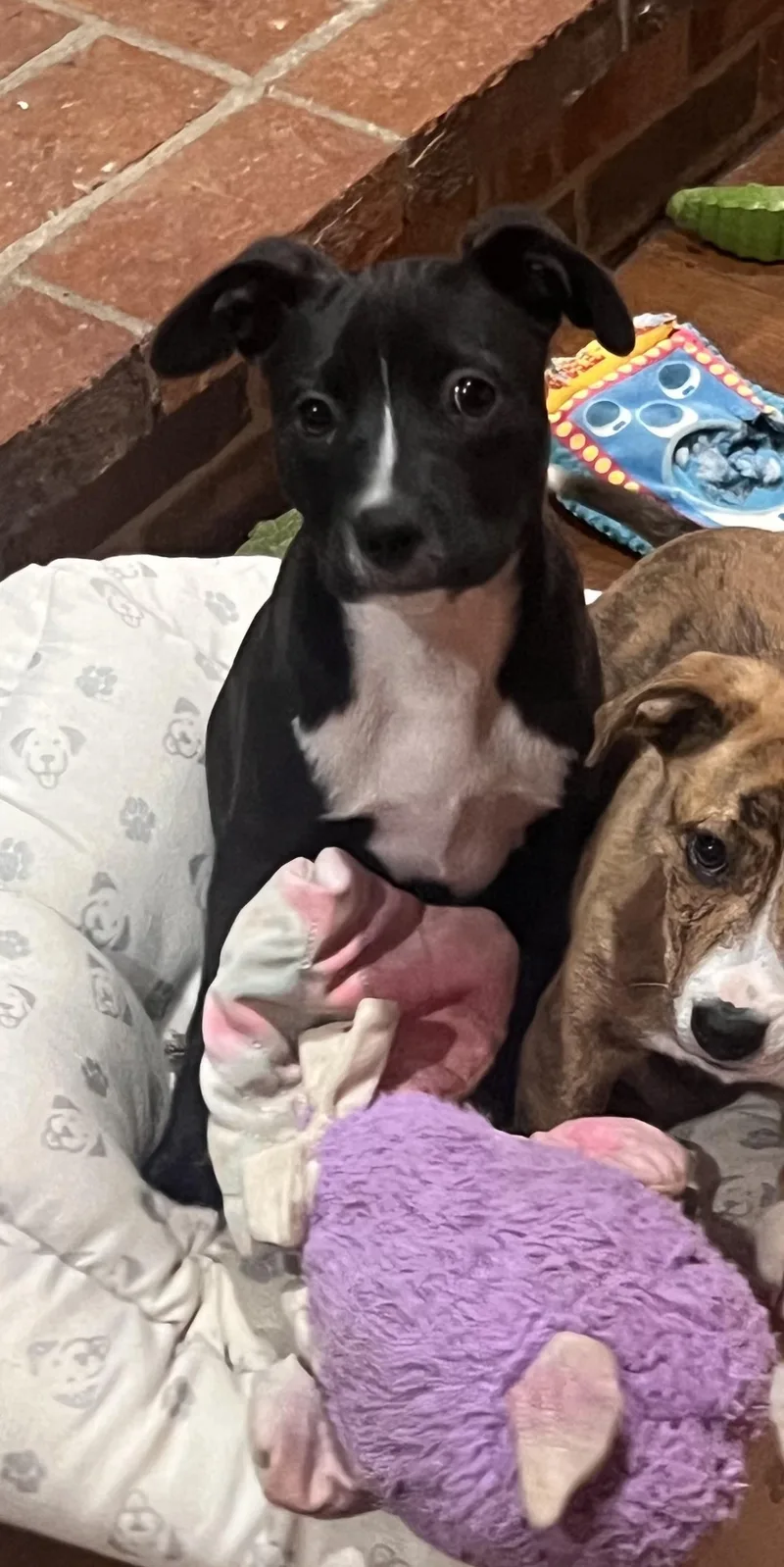 Preacher thumbnail 5