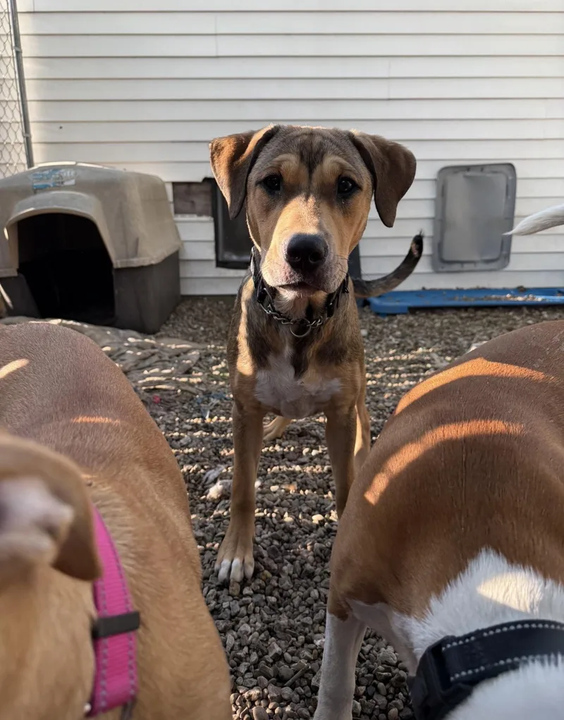 Otis thumbnail 2