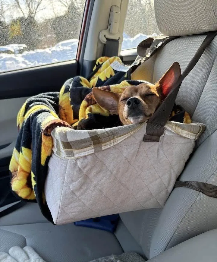 Gomez Adams Local thumbnail 2