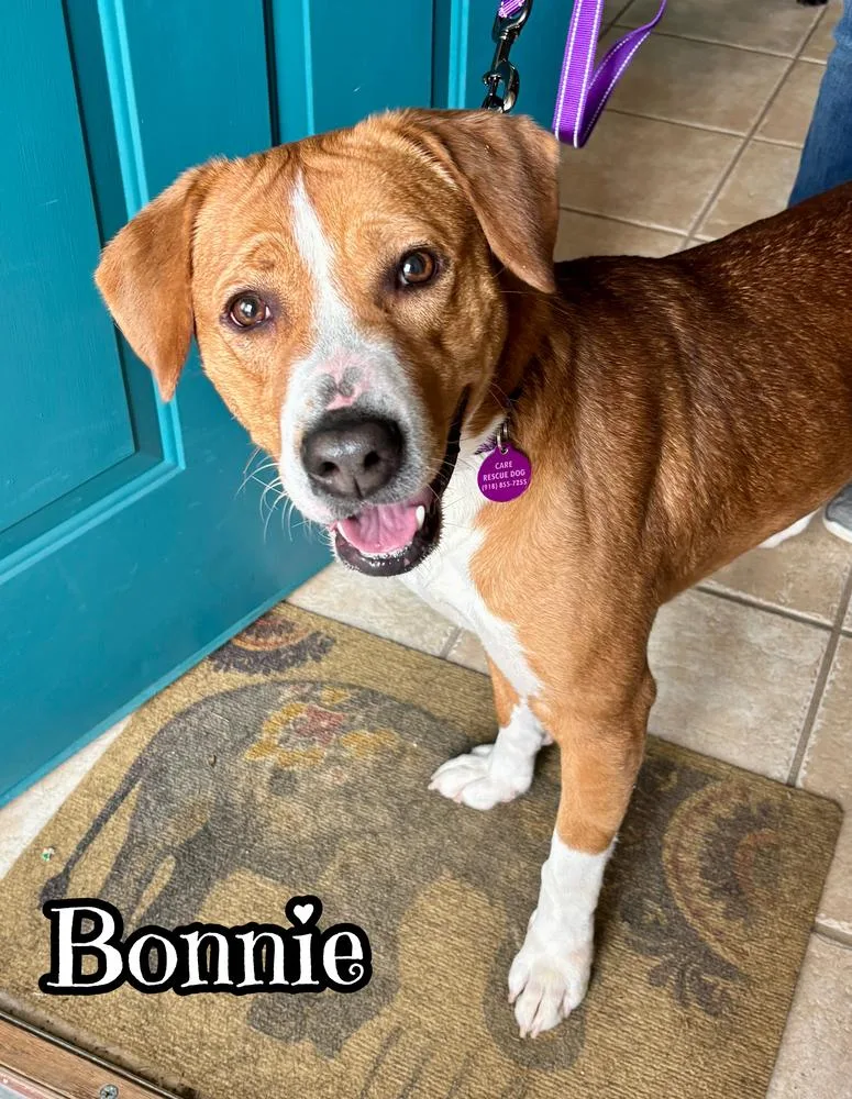 Bonnie