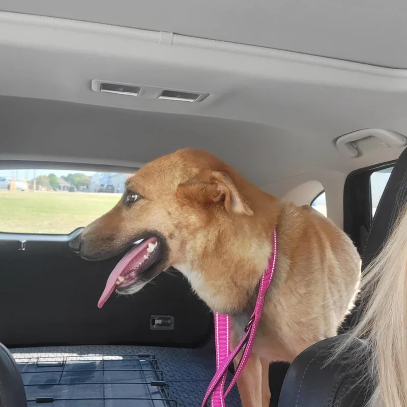 Mirabella thumbnail 2