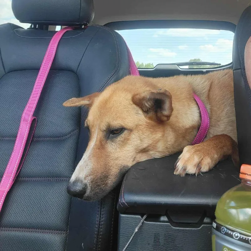 Mirabella thumbnail 3