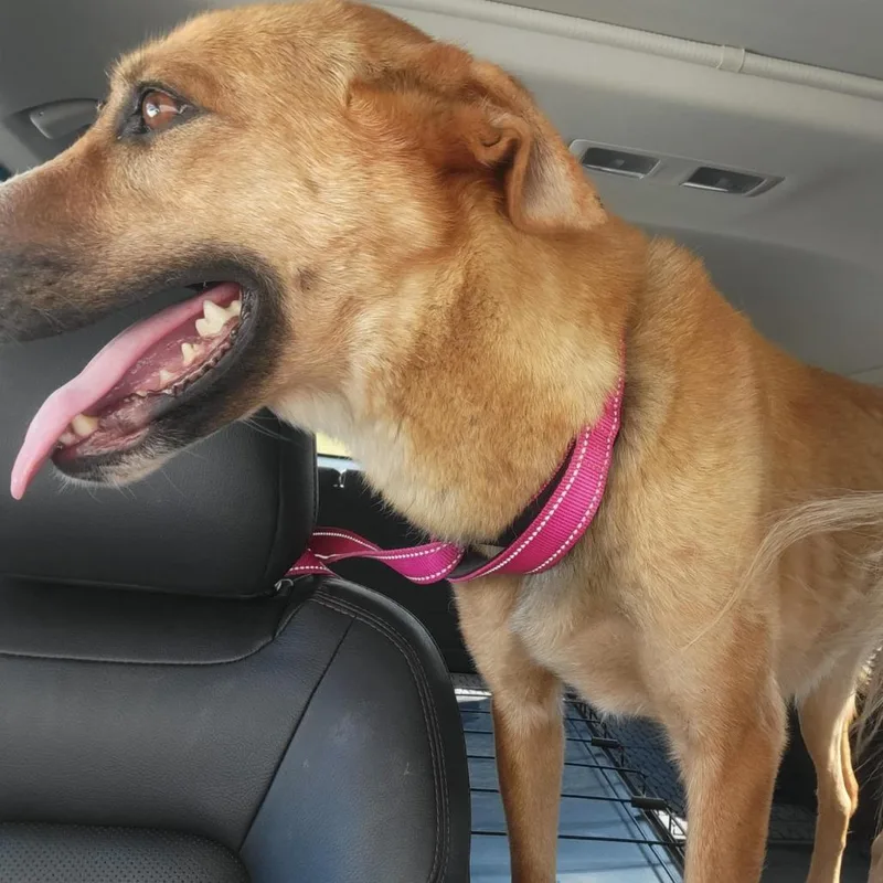 Mirabella thumbnail 4