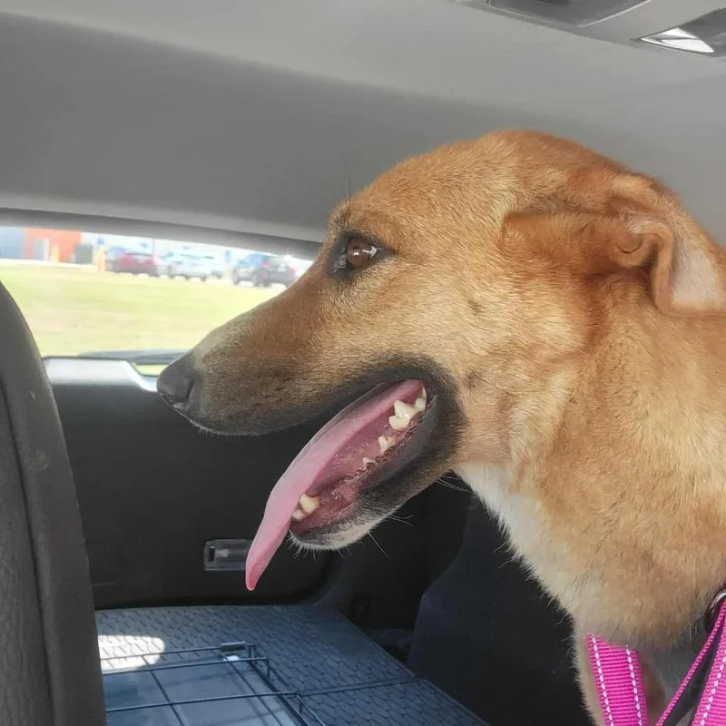 Mirabella thumbnail 5