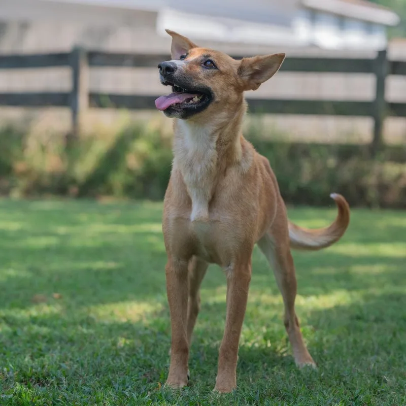 Mirabella thumbnail 6