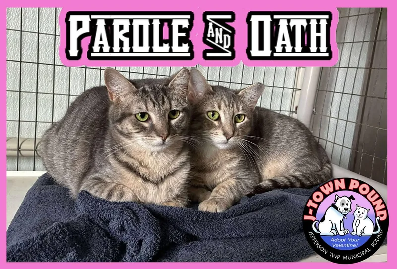 Outlaws  Parole  thumbnail 3
