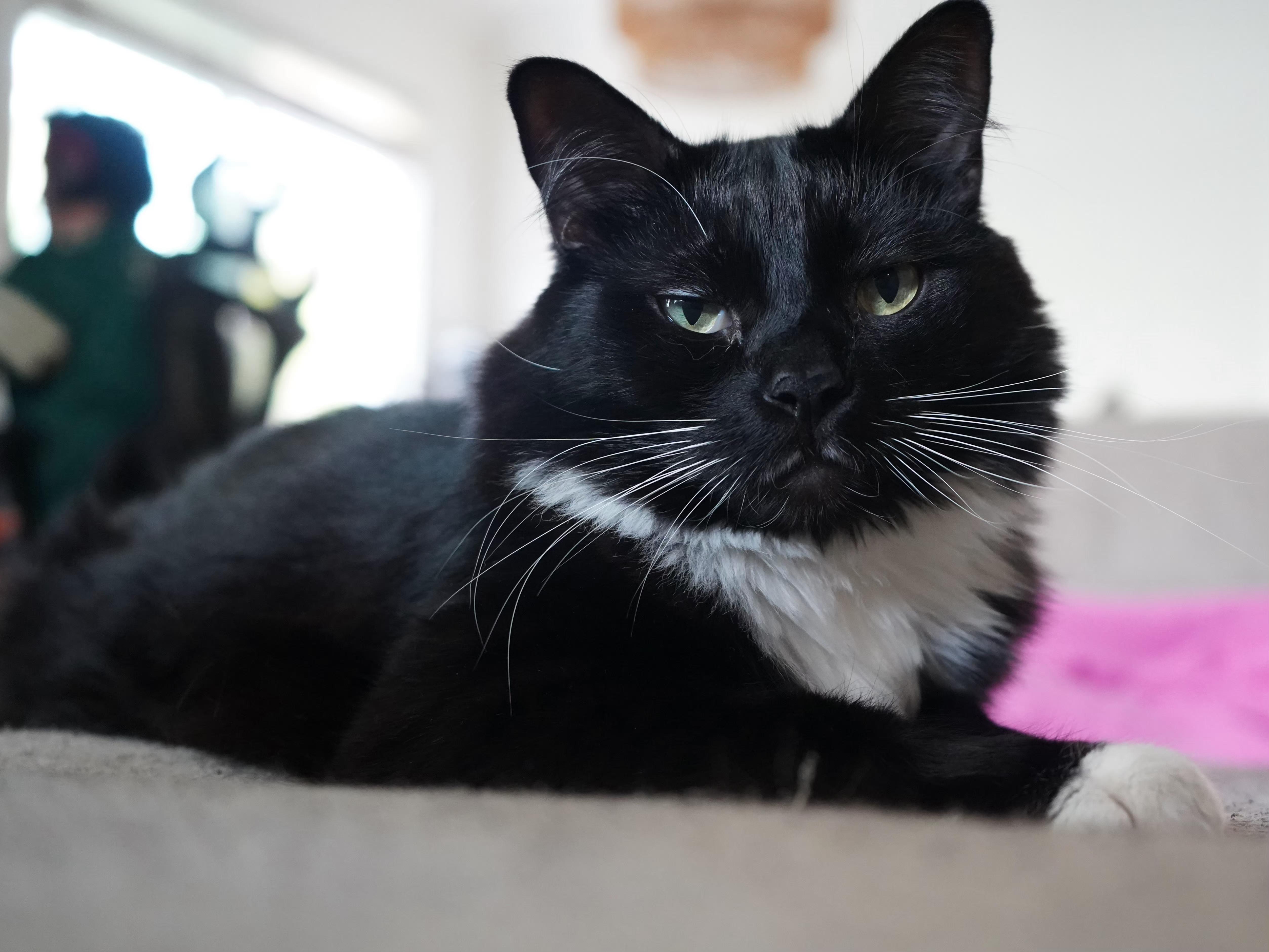 Wisdom thumbnail 2