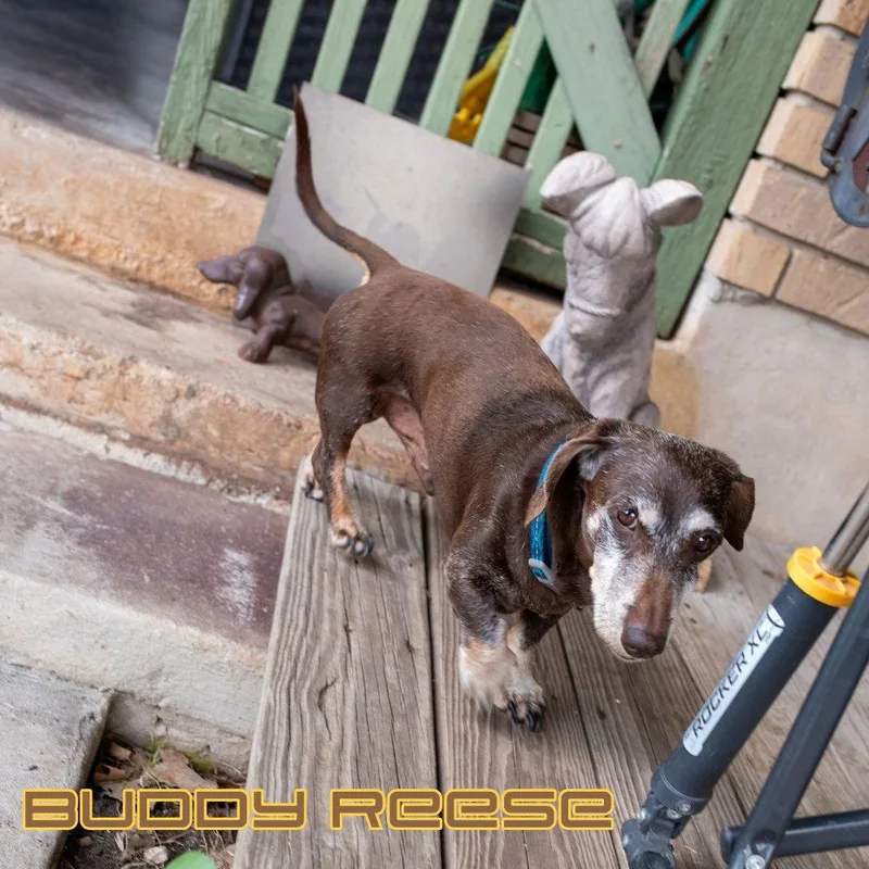Buddy Reese