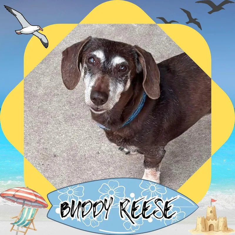 Buddy Reese thumbnail 2