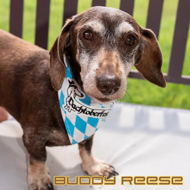 Buddy Reese thumbnail 3