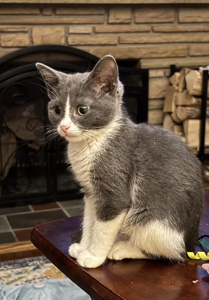 Pixel
