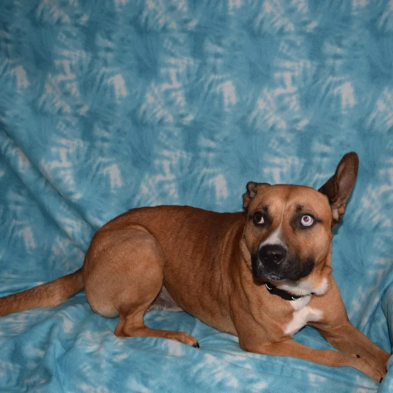 Max