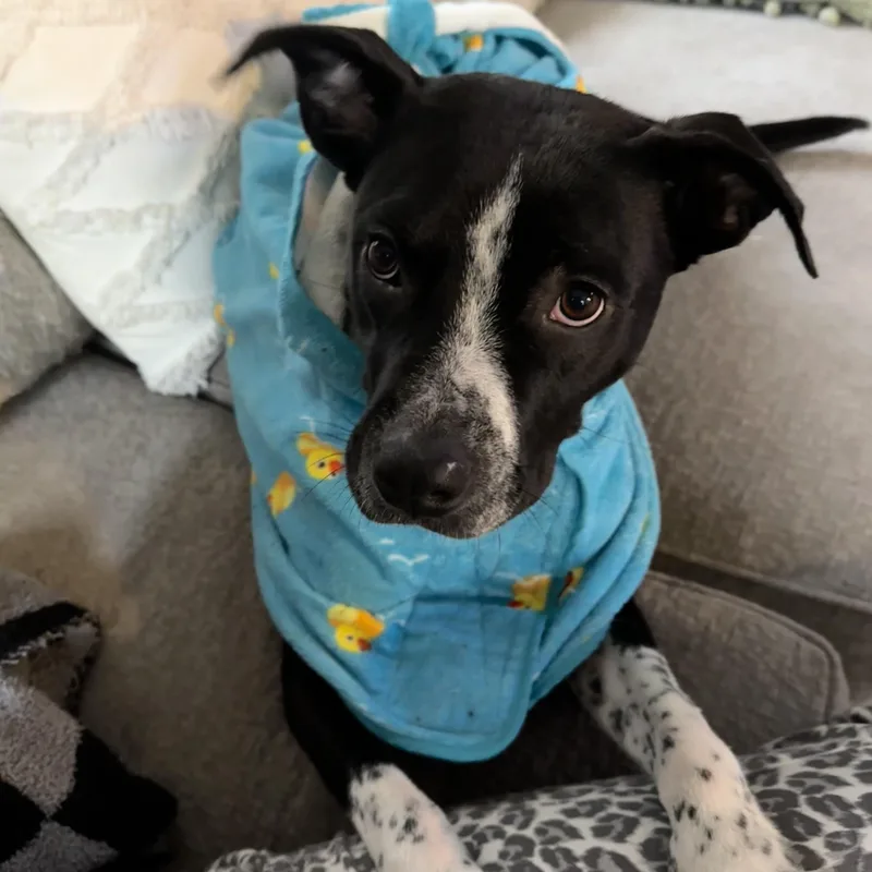 Coffee Bean thumbnail 2