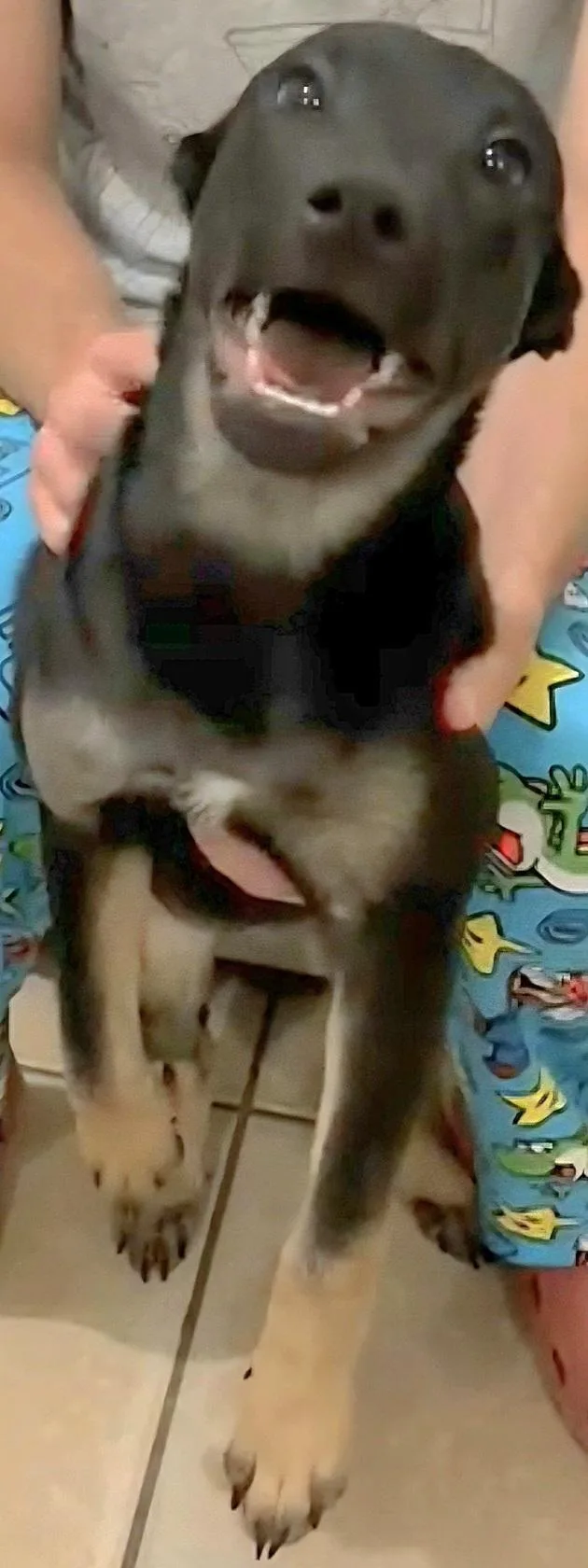 Sushi Lu "the Perfect thumbnail 2