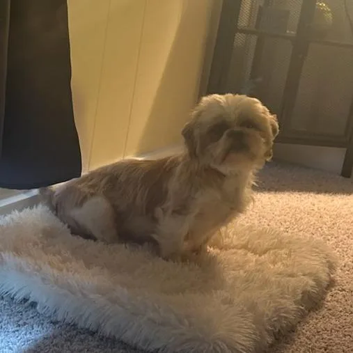 Peggy thumbnail 2
