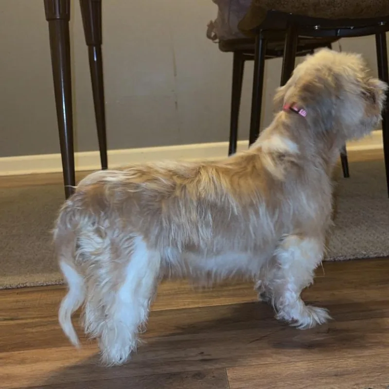 Peggy thumbnail 3