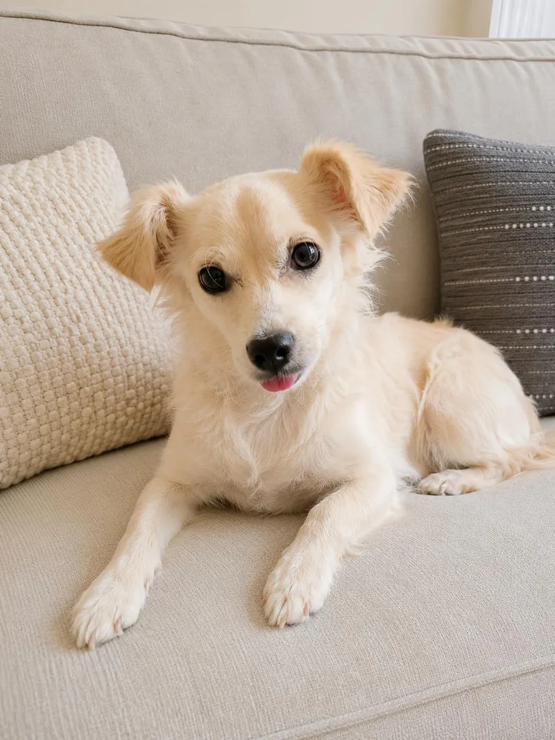 Sophie