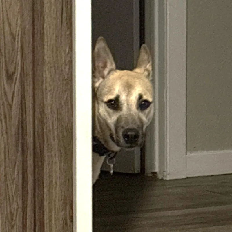 Miss Lovie thumbnail 2