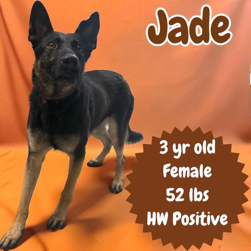 Jade