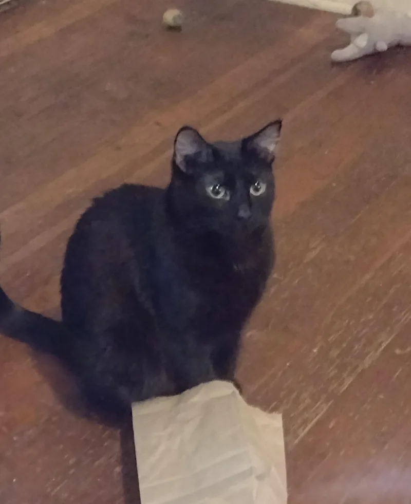 Smurfette thumbnail 3