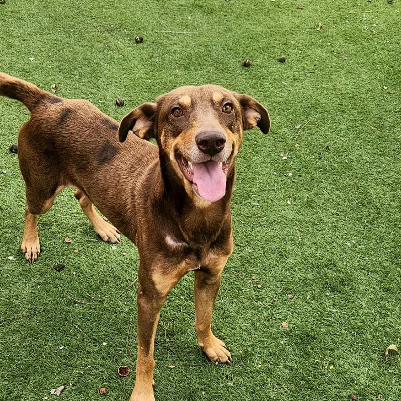 Munich Jum thumbnail 3