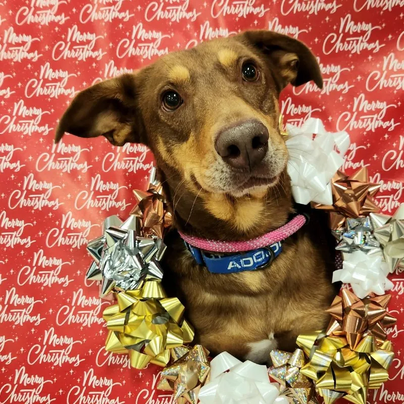 Munich Jum thumbnail 5