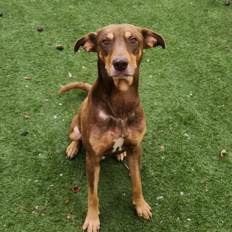 Munich Jum thumbnail 6