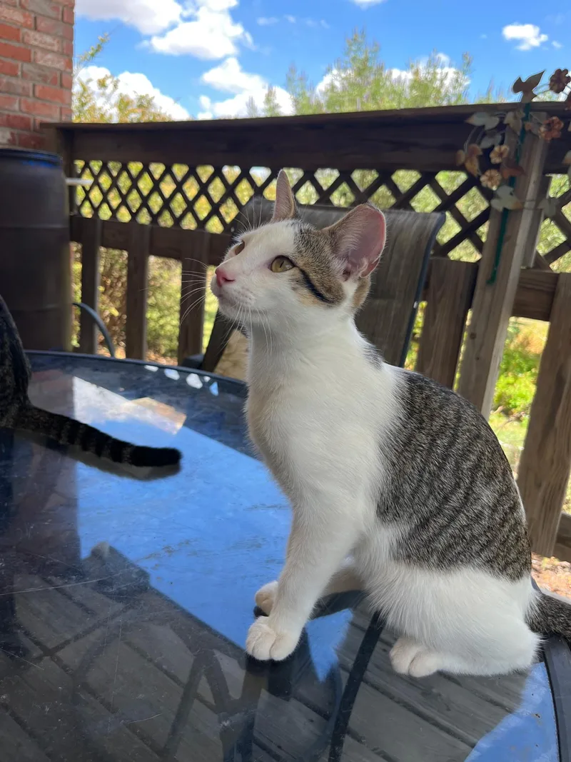 Charlie
