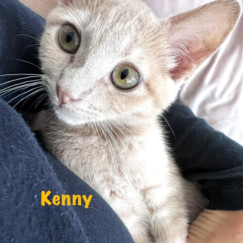 Kenny thumbnail 2