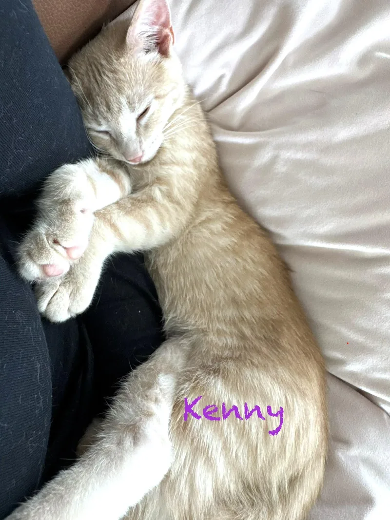 Kenny thumbnail 3