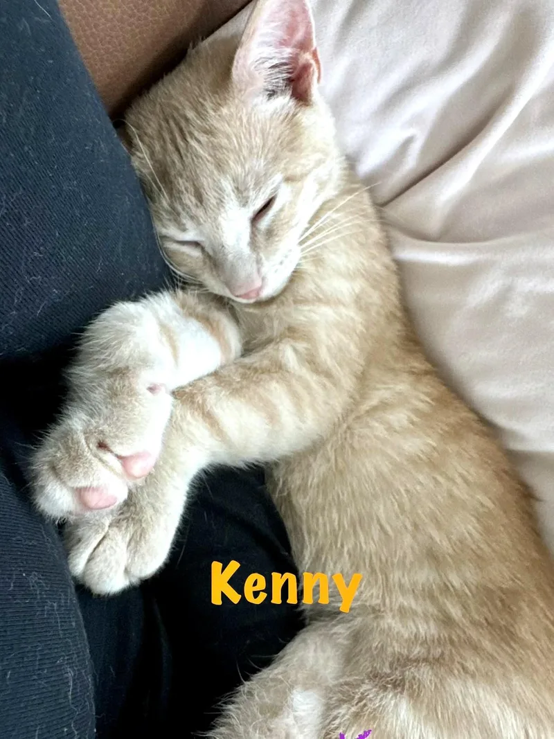 Kenny thumbnail 4