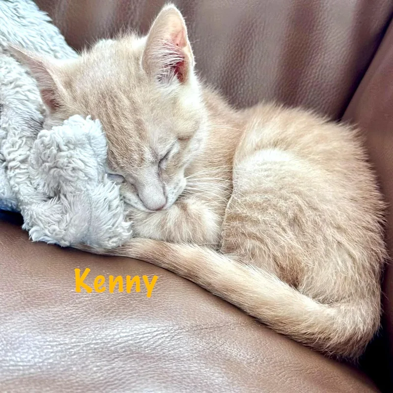 Kenny thumbnail 5