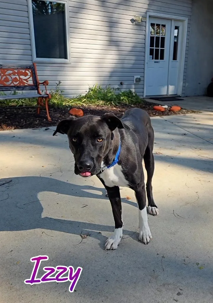 Izzy thumbnail 5