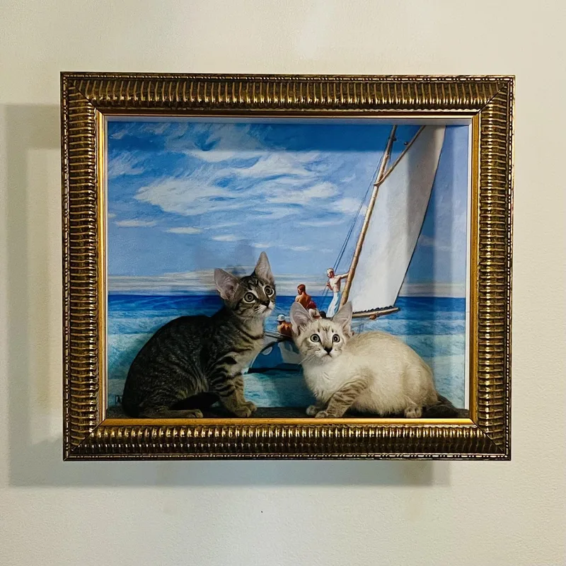 A baby small-sized female Blue Point Siamese cat named Luke & Leia for adoption in Los Angeles, CA
