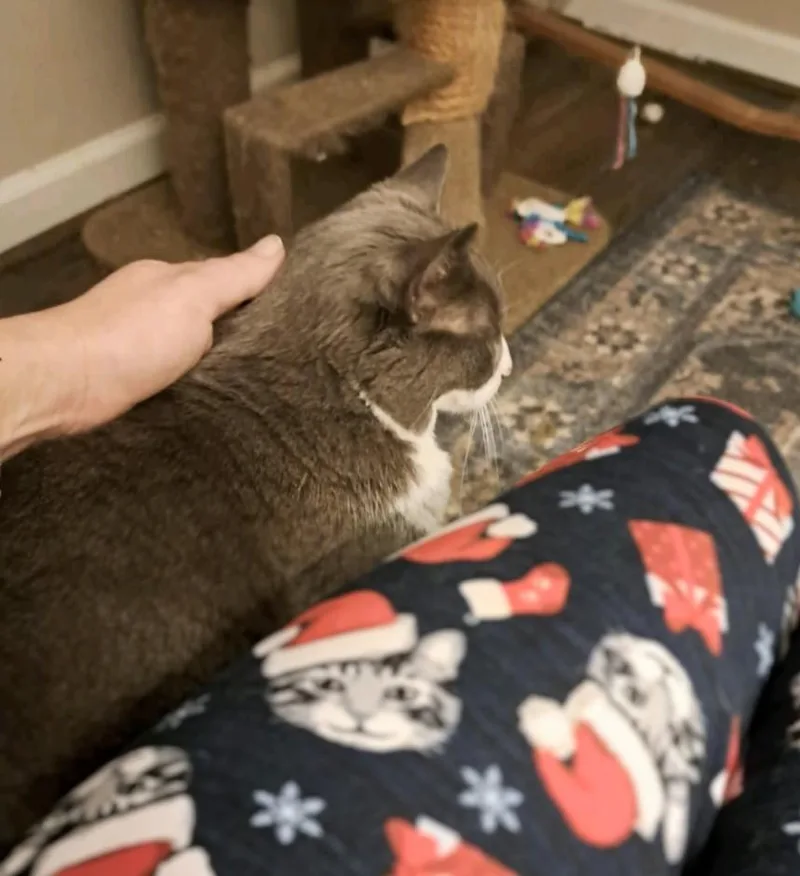 Ms. Boots thumbnail 3