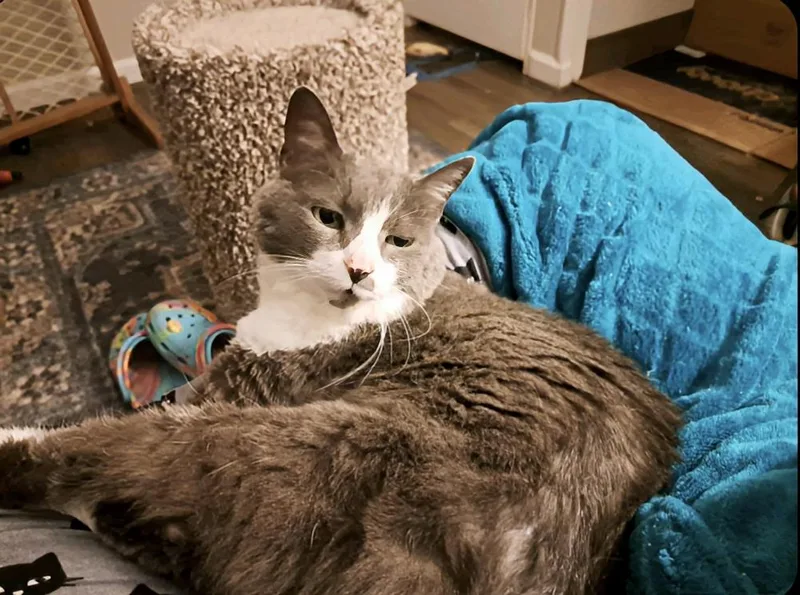 Ms. Boots thumbnail 4