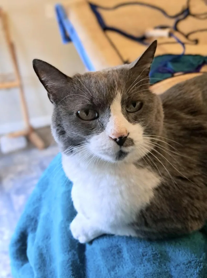 Ms. Boots thumbnail 5