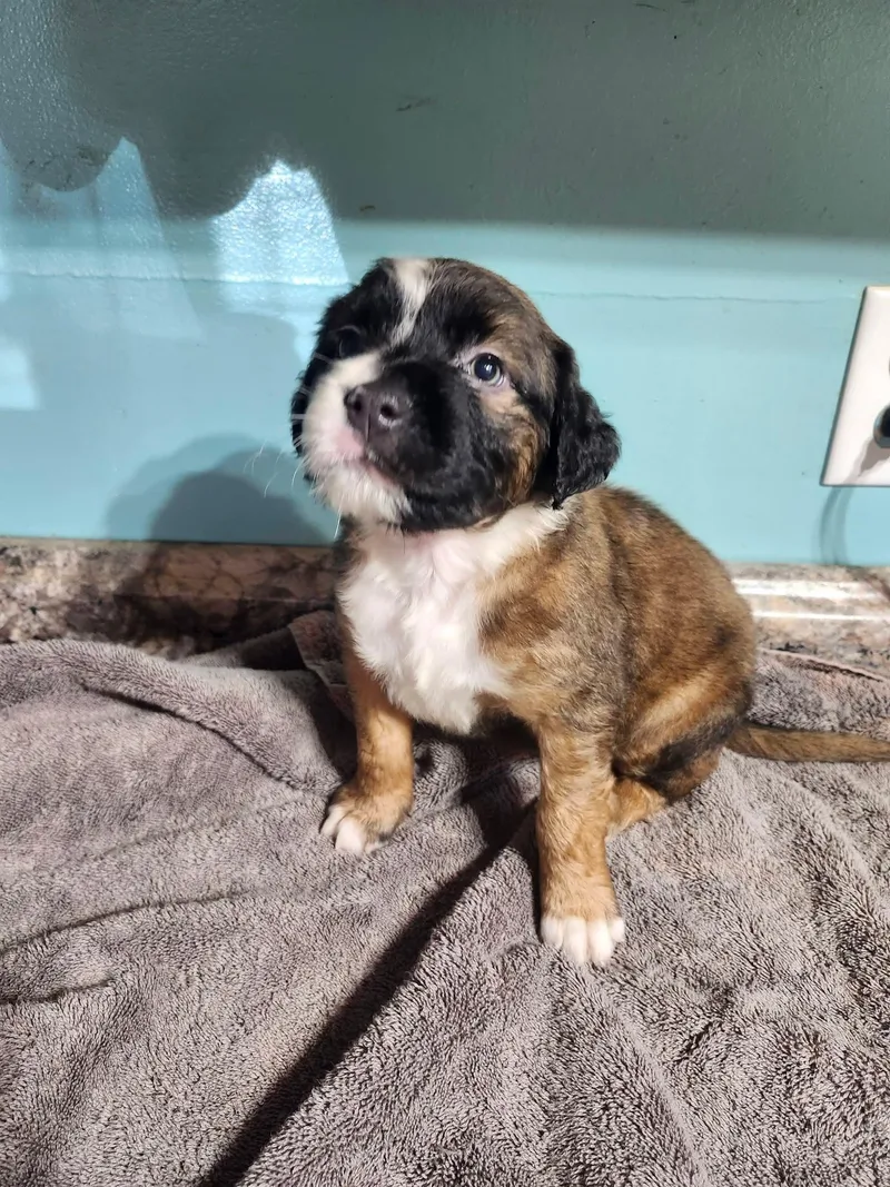 Snuggles thumbnail 3