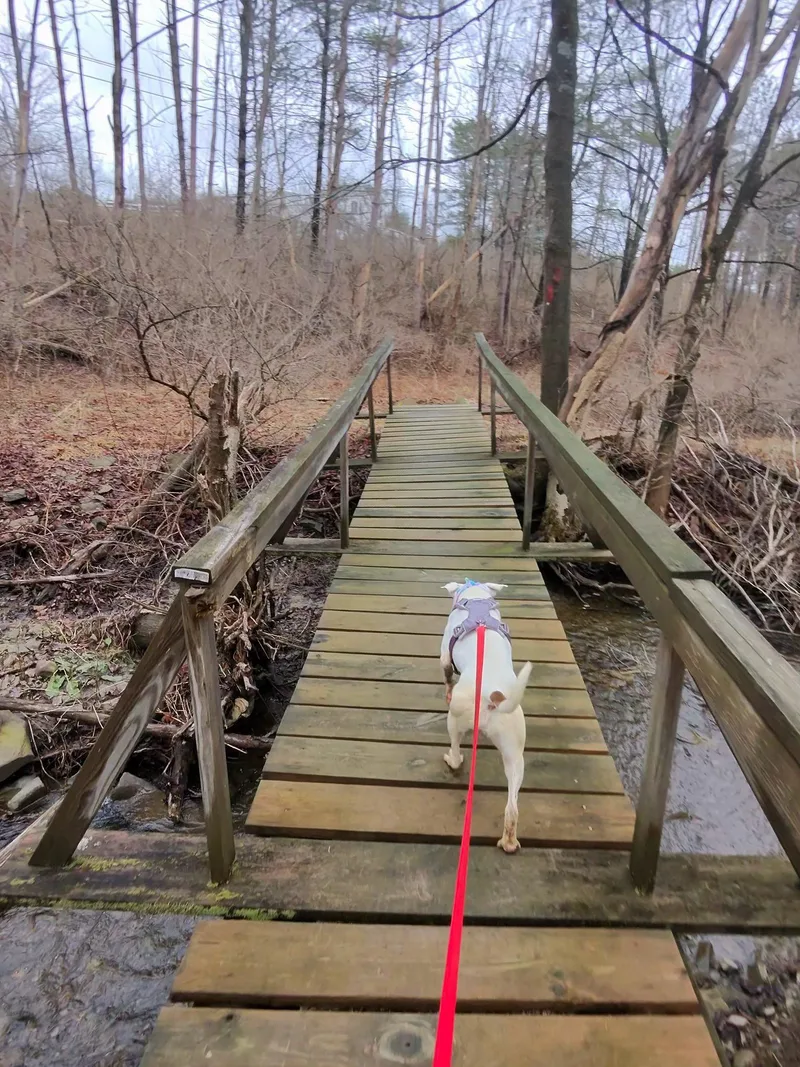 Beatrice thumbnail 5