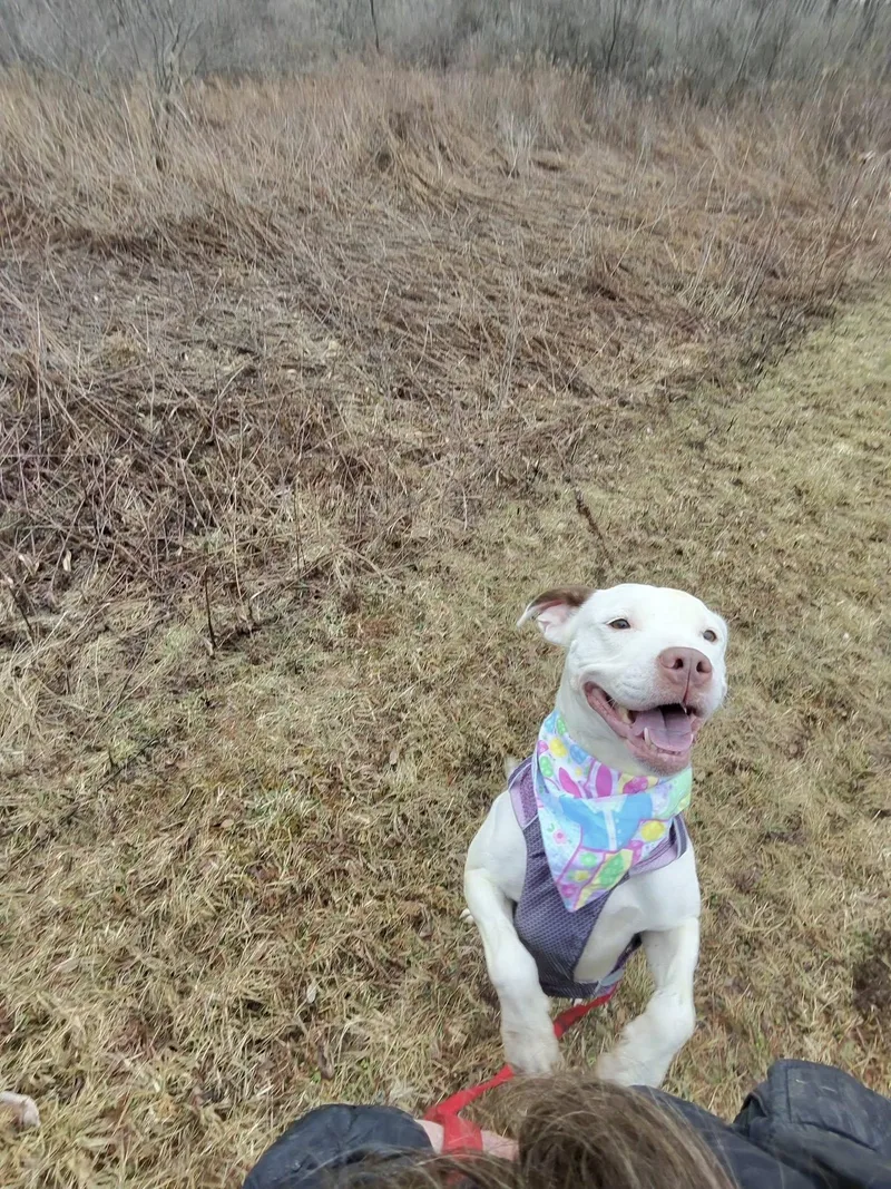 Beatrice thumbnail 6