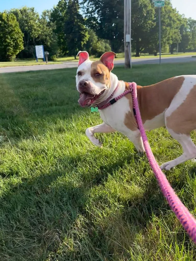 Lola thumbnail 2