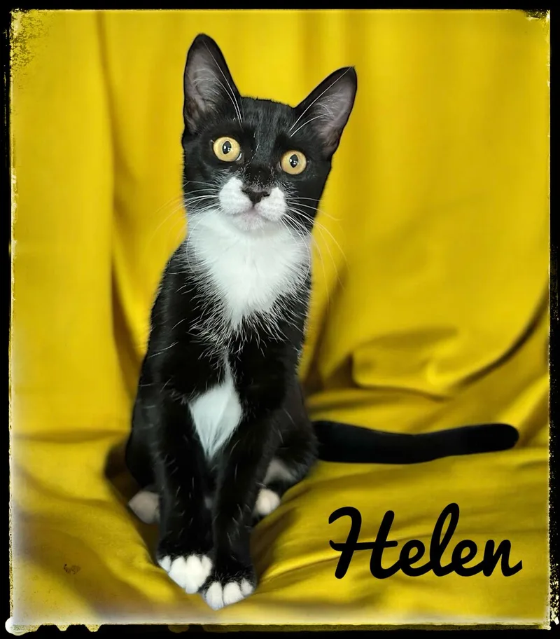 Helen