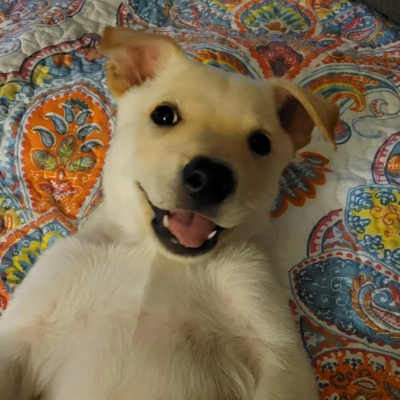 Maybelle thumbnail 3