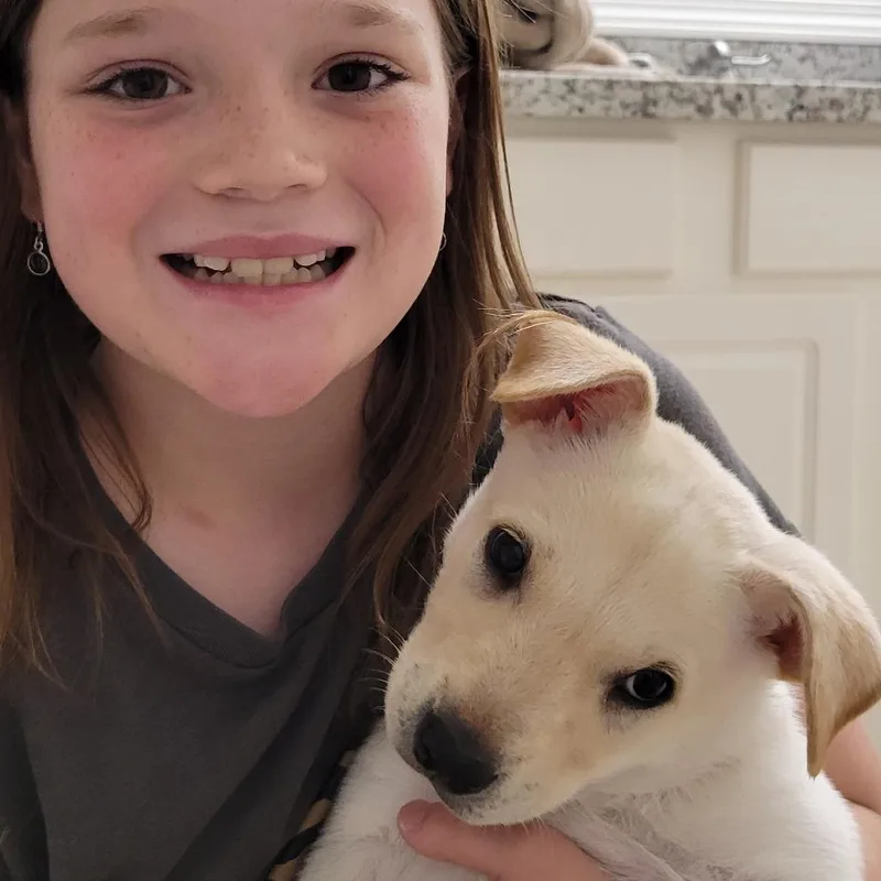 Maybelle thumbnail 5