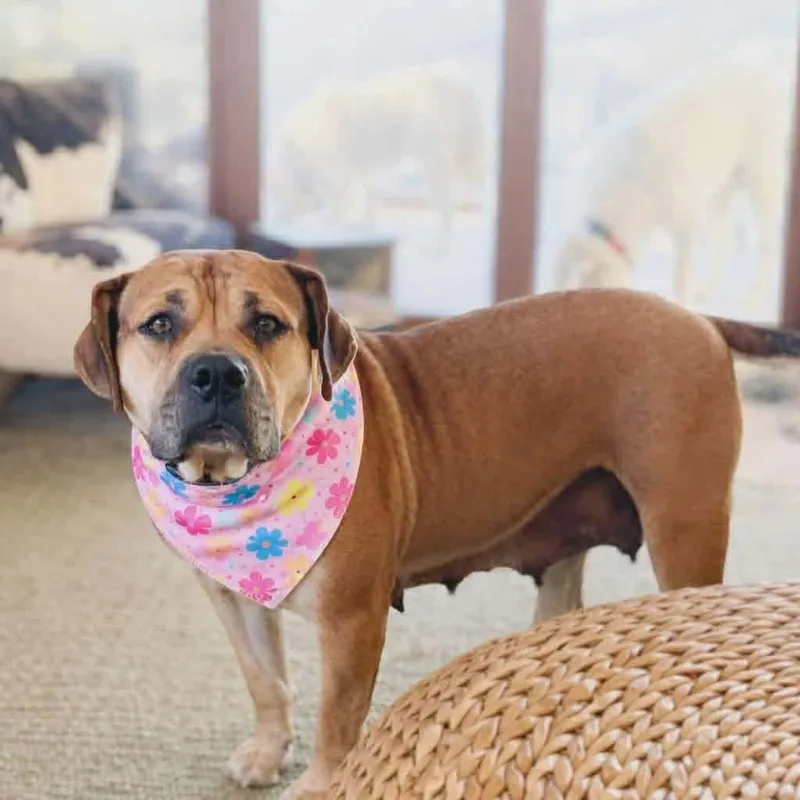 Mama Penny thumbnail 2