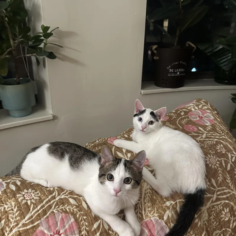 Dean  In The thumbnail 2