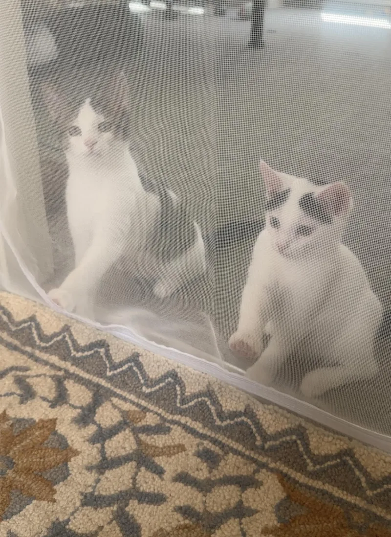 Dean  In The thumbnail 3